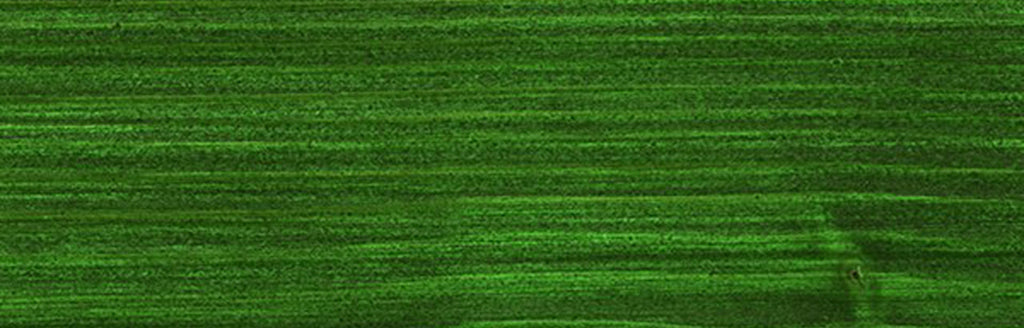 Osmo Natural Oil Woodstain 729 Fir Green color swatch